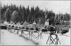 Halkojen lastausta Säämingissä 1920-luvulla. Lastaussillalla peräkkäin 12 miestä kärryineen.