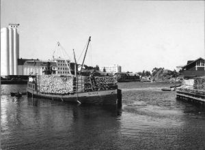 Höyrylotja Weikko halkolastissa Savonlinnan Haislahdessa 1950-luvulla.