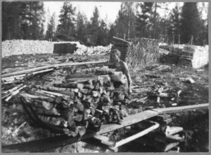 Puun lastausta Puumalassa 1952. "Katosselkä, Heinlahti. Lastausmiehet ovat joutuneet tekemään harvinaisen pitkän kärräystien. Tuoreet olivat halot ja pitkä oli työntömatkakin. Yhtäkyytiä se matka työnnettiin. Etumaisena Eino Ruottinen. Taaempana Toivo Pellinen."