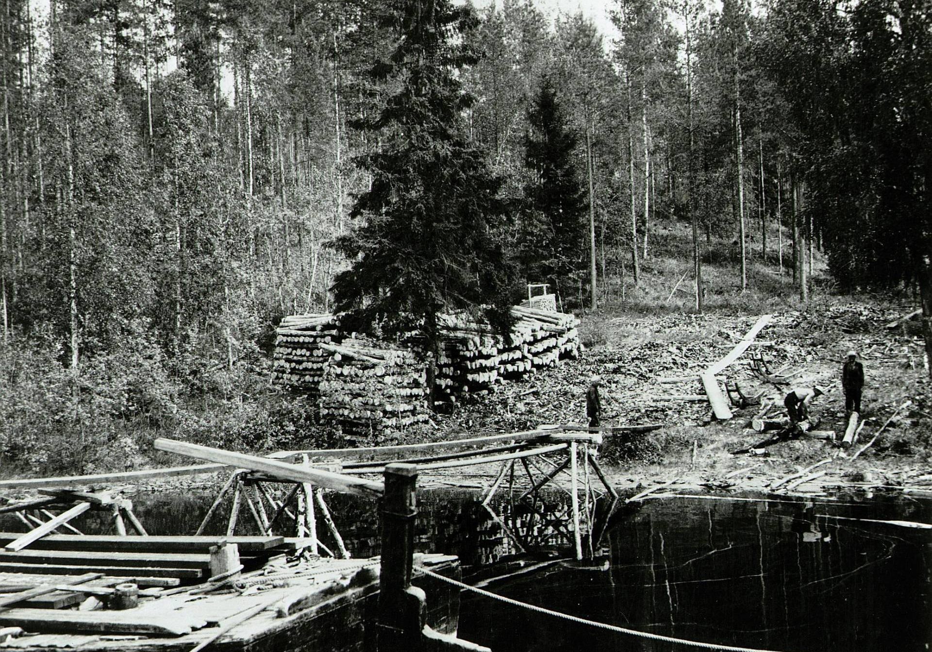 Lotjan lastausta. Kolme miestä töissä. Propsipinoja rannalla. Etualalla lankkusilta ja proomun perä.