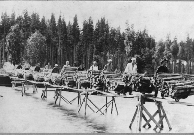 Halkojen lastausta Säämingissä 1920-luvulla. Lastaussillalla peräkkäin 12 miestä kärryineen.